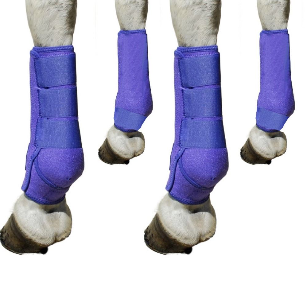 Brushing Boot Horse - Juego de 4 botas deportivas coloridas