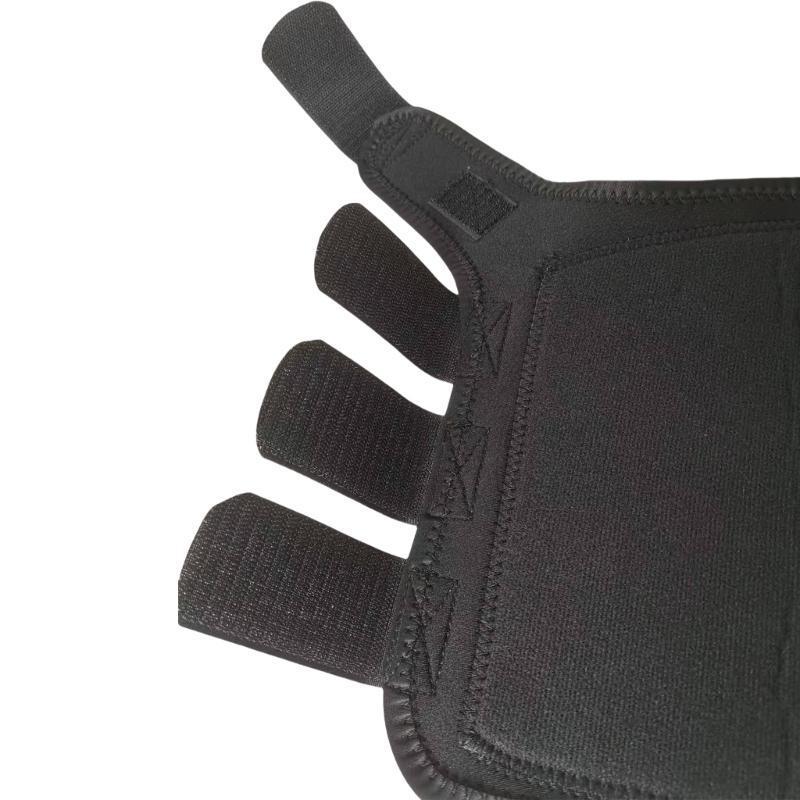 R6FE Cepillado Botón caballo A - Brushing Boot Horse reseña y precio
