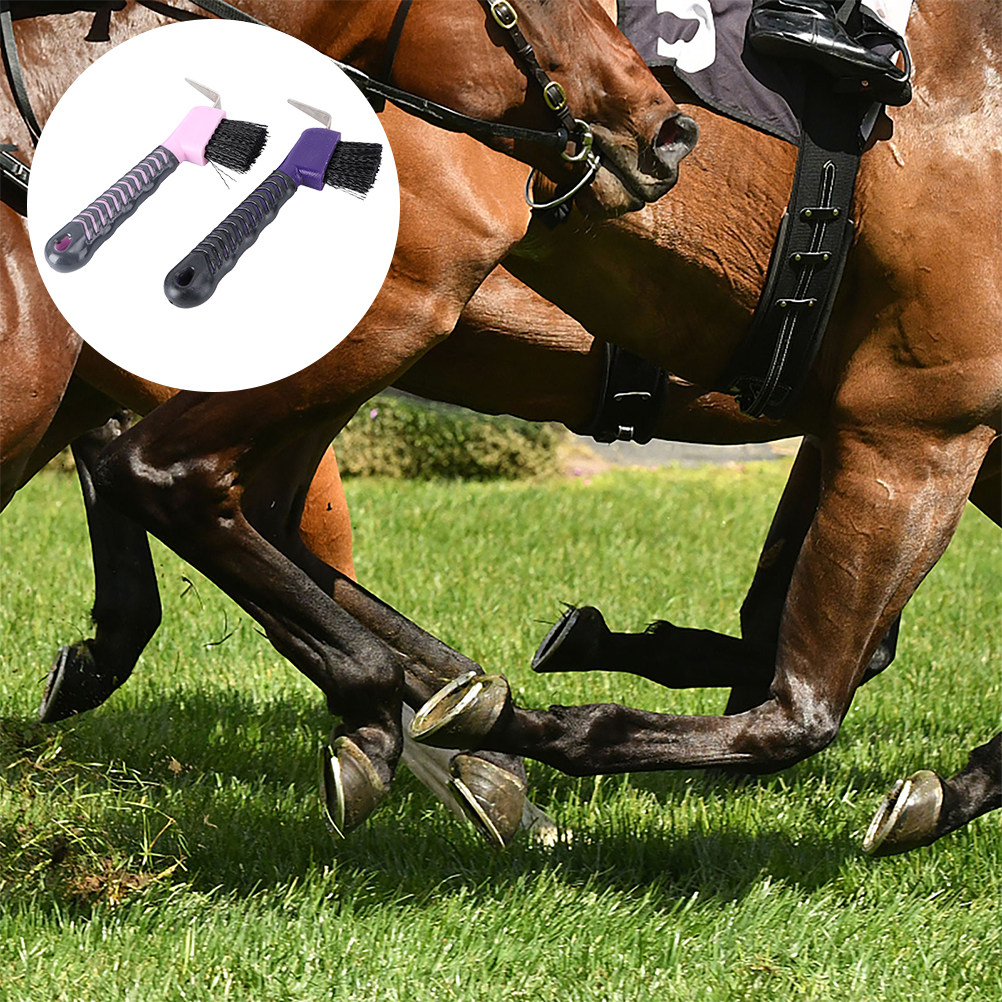 2 piezas Cepillo limpiacascos  - Brushing Boot Horse reseña y precio