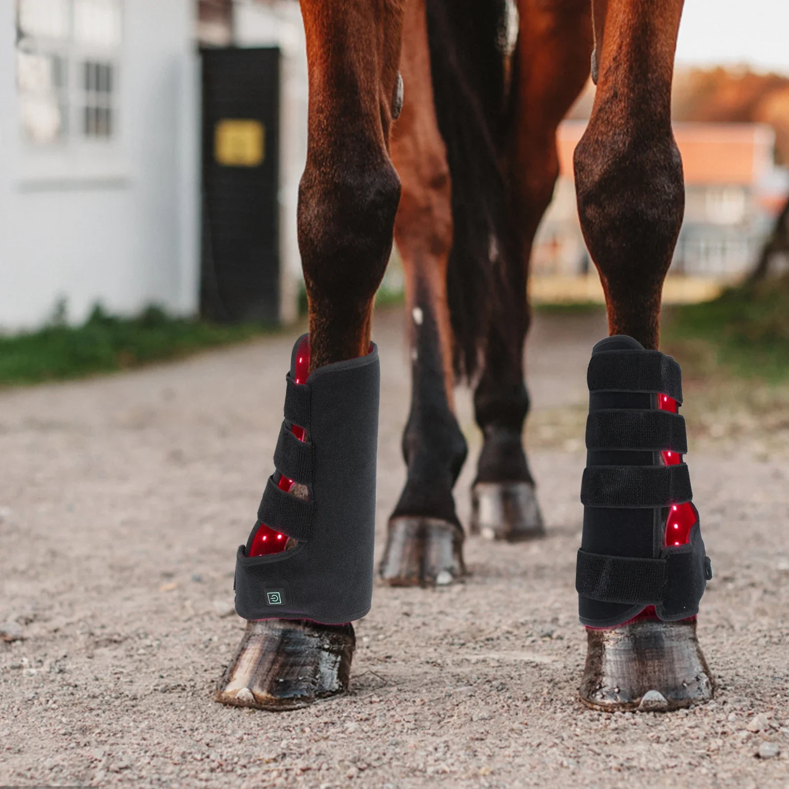 Nuevas botas de terapia de luz - Brushing Boot Horse reseña y precio
