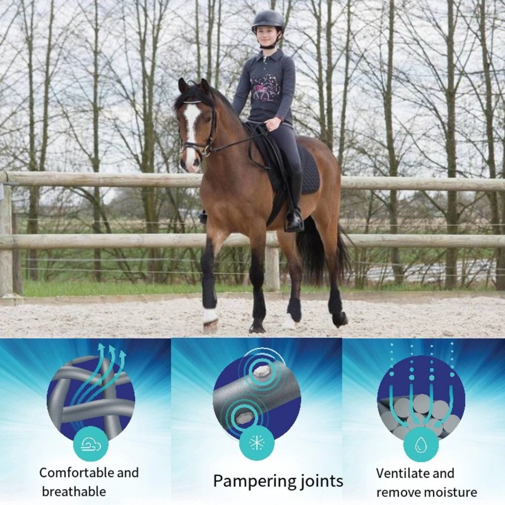 Juego de 4 botas deportivas co - Brushing Boot Horse reseña y precio