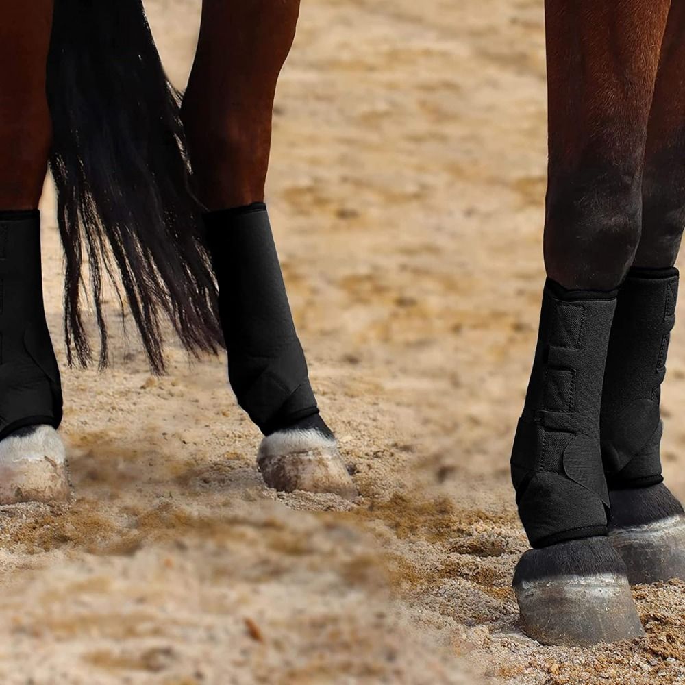 4 unids/set de botas deportiva - Brushing Boot Horse reseña y precio