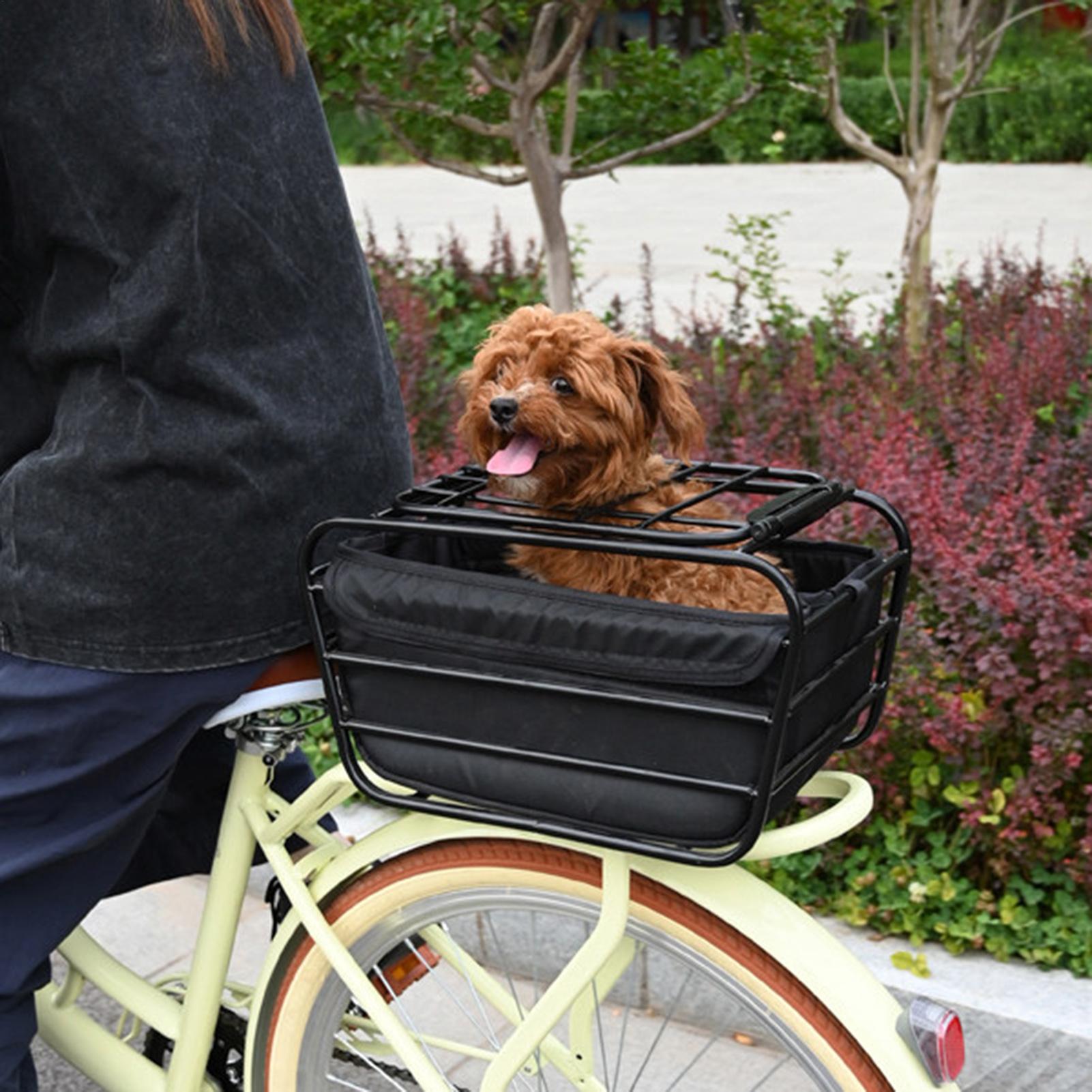 Cesta trasera para bicicleta d - Outdoor Sport Gear reseña y precio