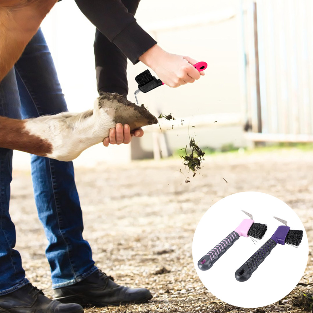 2 cepillos limpiacascos para c - Brushing Boot Horse reseña y precio