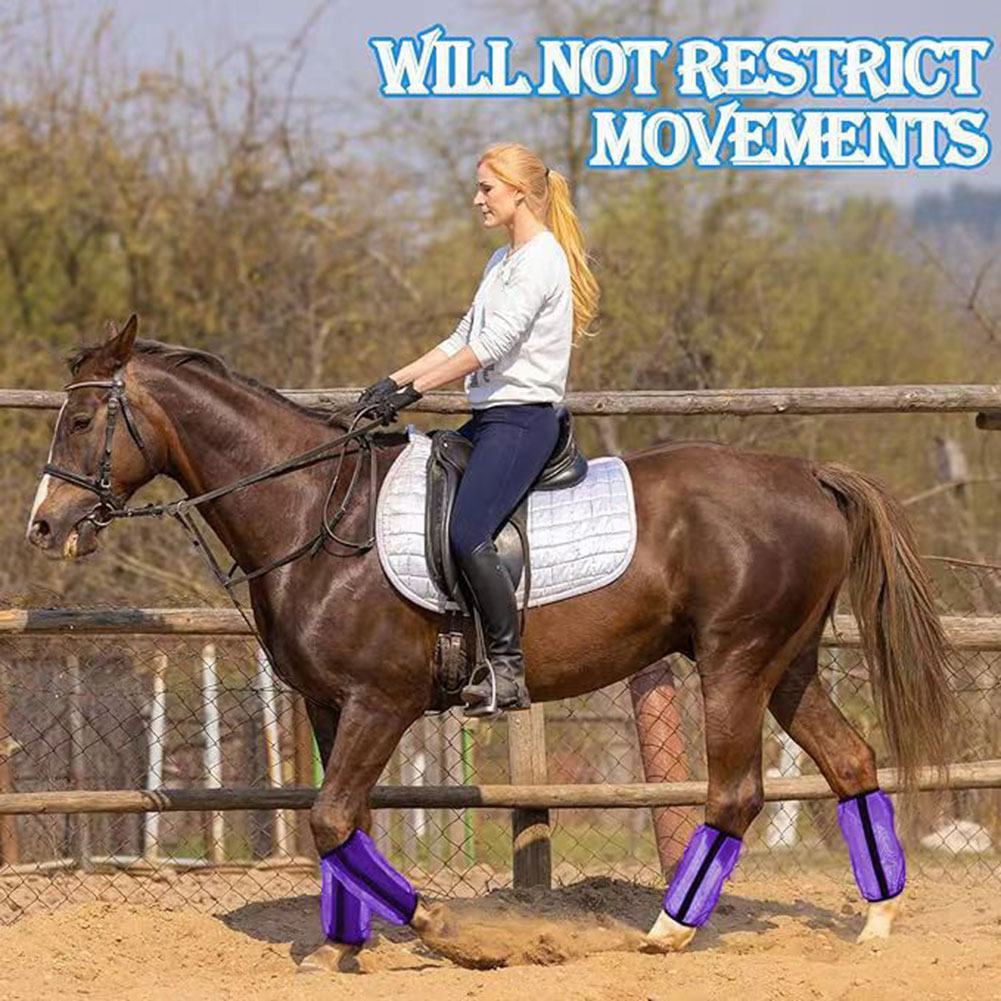 4 pares de botas de malla tran - Brushing Boot Horse reseña y precio