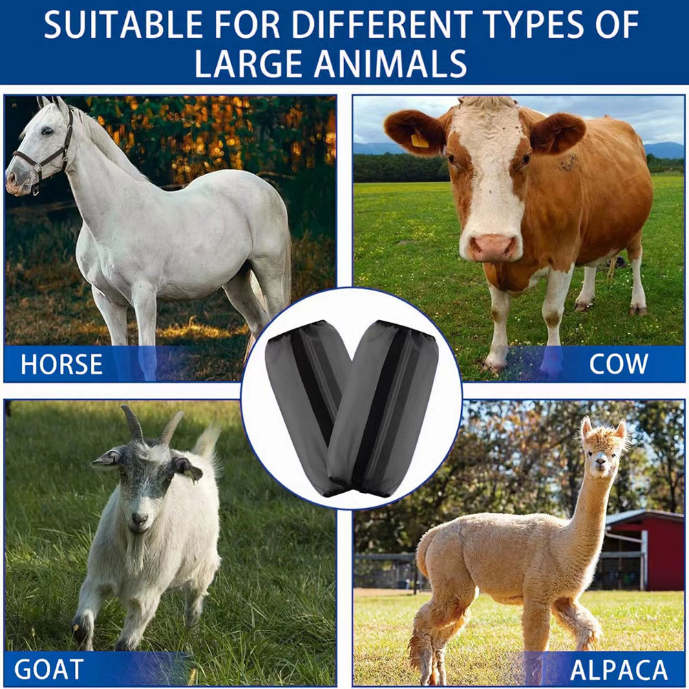 4 pares de botas de malla tran - Brushing Boot Horse reseña y precio
